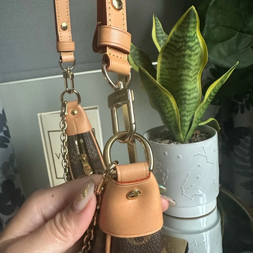 Louis Vuitton Monogram Mini Loop Shoulder Bag - Picture 5 of 11